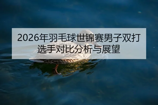 2026年羽毛球世锦赛男子双打选手对比分析与展望