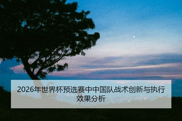 nian-shi-jie-bei-yu-xuan-sai-zhong-zhong-guo-dui-zhan-shu-chuang-xin-yu-zhi-xing-xiao-guo-fen-xi-2-568.jpg