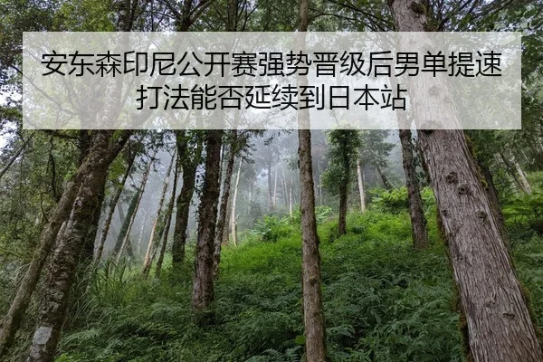 安东森印尼公开赛强势晋级后男单提速打法能否延续到日本站