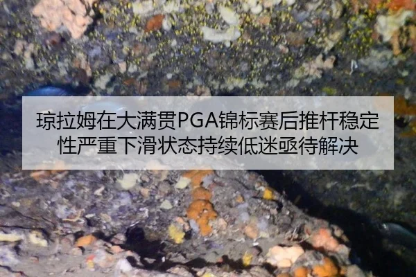 qiong-la-mu-zai-da-man-guan-jin-biao-sai-hou-tui-gan-wen-ding-xing-yan-zhong-xia-hua-zhuang-tai-chi-xu-di-mi-ji-dai-jie-3-675.jpg