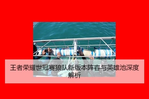 王者荣耀世冠赛狼队新版本阵容与英雄池深度解析