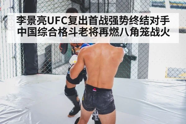 李景亮UFC复出首战强势终结对手 中国综合格斗老将再燃八角笼战火